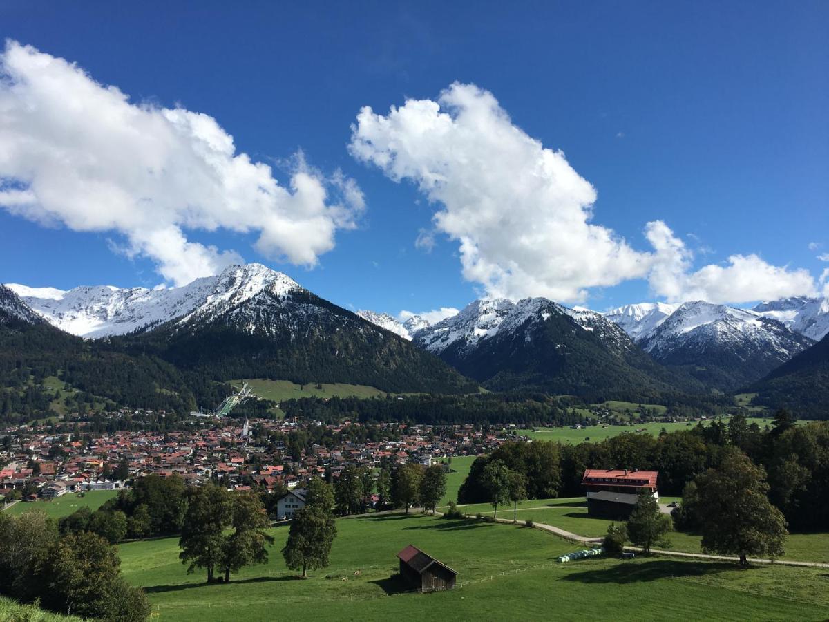 FeWo Nebelhorn mit Netflix, Garage und Sommer-Bergbahnticket Oberstdorf Exterior foto